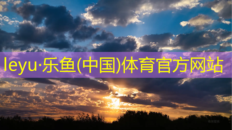 乐鱼体育,幼儿舞蹈体操垫