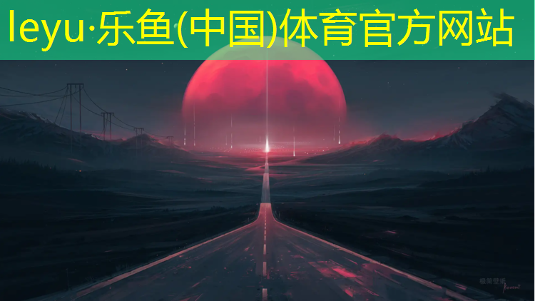 乐鱼体育,渝中网球网铺设